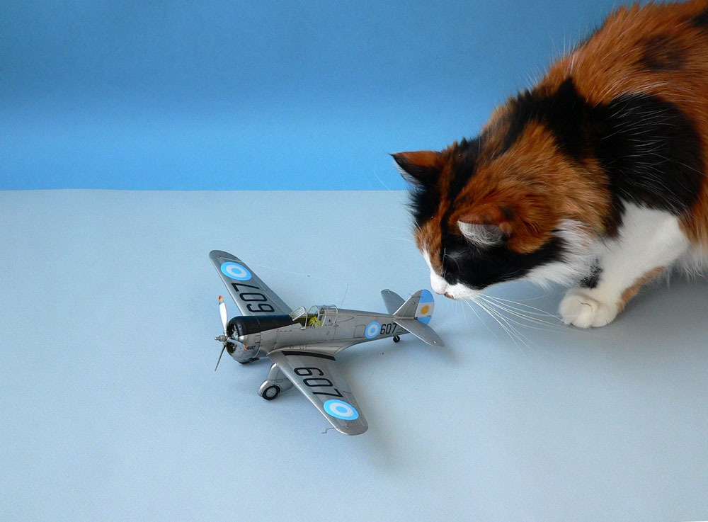 Hobby Link International Shop