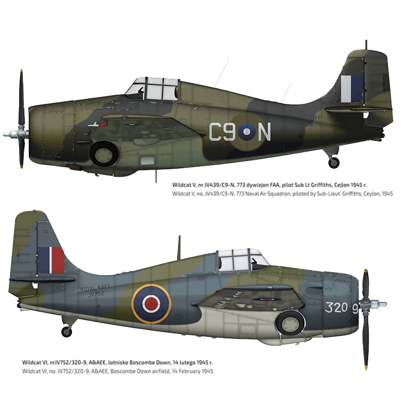 Hobby Link International Shop