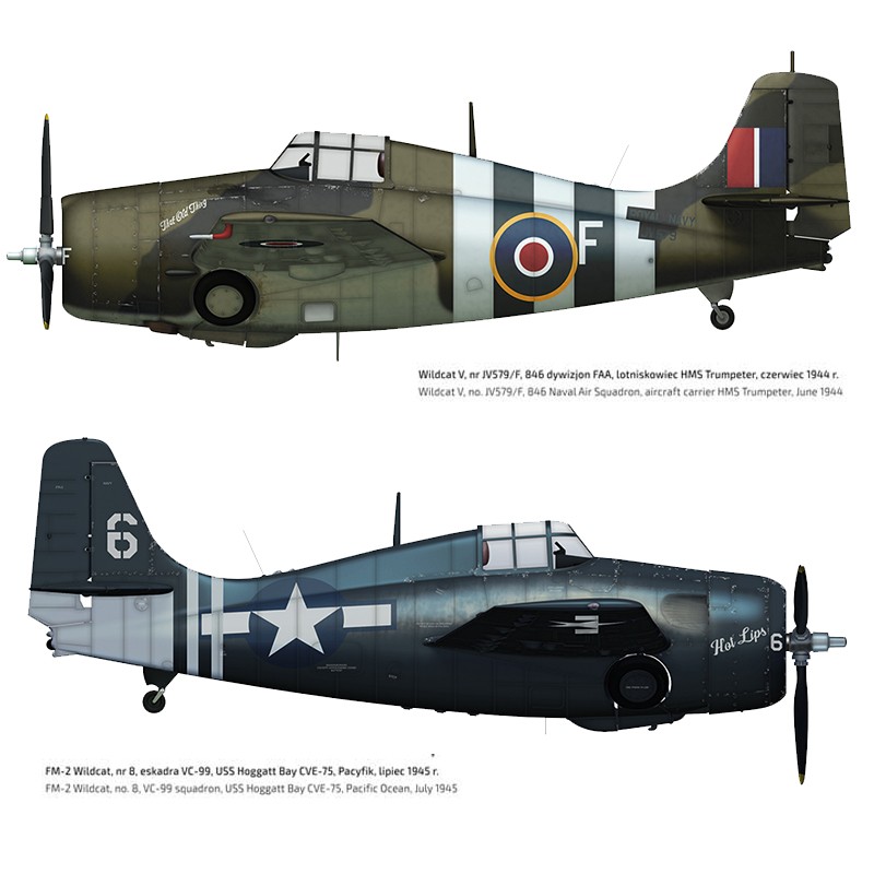 Hobby Link International Shop