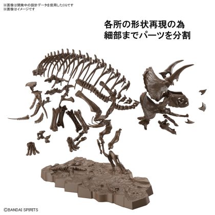 Bandai Imaginary Skeleton Triceratops