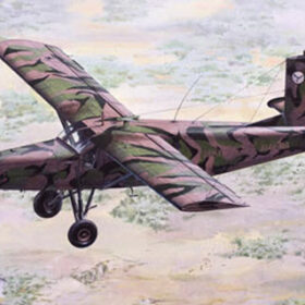 Roden Pilatus PC-6/B2-H2 Turbo-Porter (1/48) RD-443