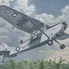 Roden L-19/0-1 Bird Dog (1/48) RD-409